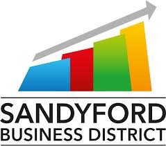 Sandyford Business District Strategic Study and Action Plan 