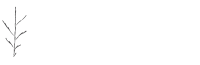 John McCarrick & Associates Registered Auditors & Certified Public Accountants