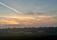 SBD Darkness into Light in Leopardstown Racecourse gallery image thumbnail