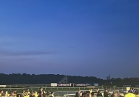 SBD Darkness into Light in Leopardstown Racecourse gallery image thumbnail