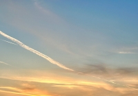 SBD Darkness into Light in Leopardstown Racecourse gallery image thumbnail