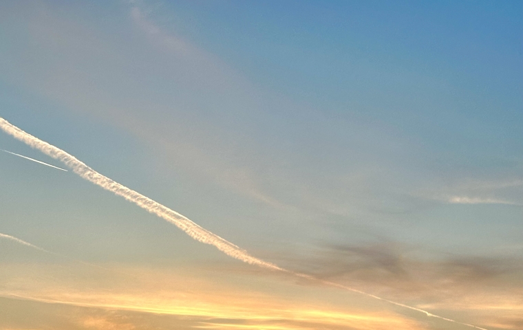 SBD Darkness into Light in Leopardstown Racecourse gallery image