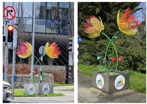 SBD Placemaking Programme: Floral Installations for the District 