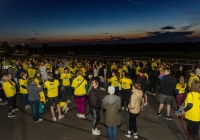 SBD Darkness into Light in Leopardstown Racecourse gallery image thumbnail