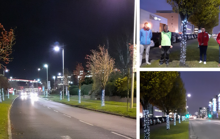 Christmas Lights for The District  gallery image