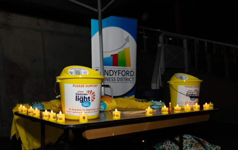 SBD Darkness into Light in Leopardstown Racecourse gallery image