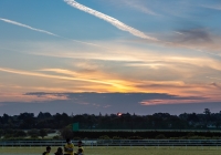 SBD Darkness into Light in Leopardstown Racecourse gallery image thumbnail
